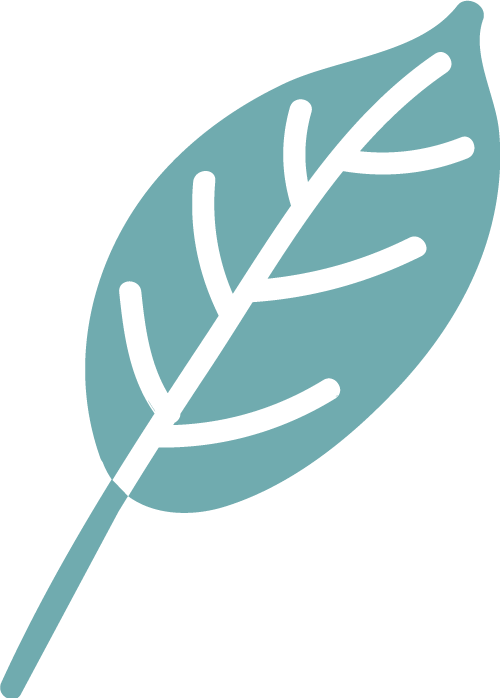 leaf logo teal.png
